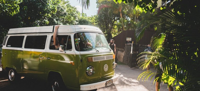 Van vert vw