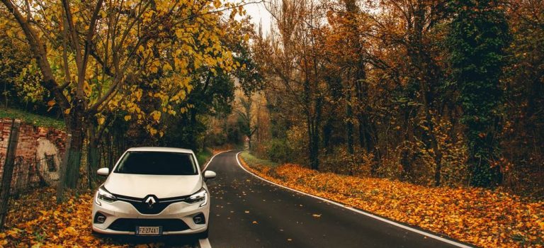 renault sur le bord de route