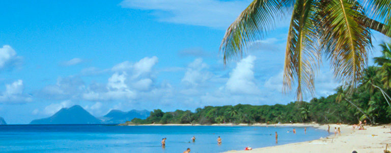 Visitez la Martinique en famille grâce à la location de voitures, c’est pratique ste luce