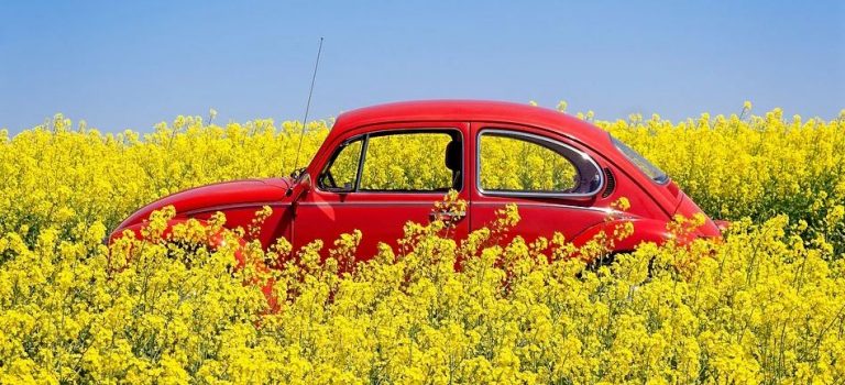 Assurance voiture qui ne roule pas voiture dans un champs